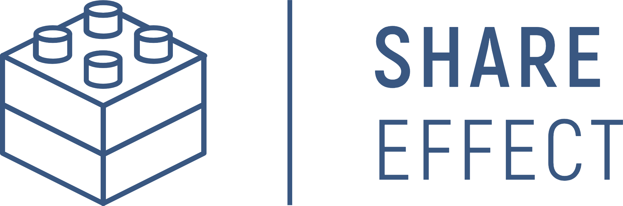 Share-Effect Logo